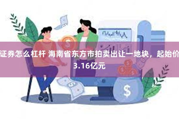 证券怎么杠杆 海南省东方市拍卖出让一地块，起始价3.16亿元