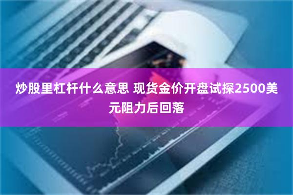 炒股里杠杆什么意思 现货金价开盘试探2500美元阻力后回落