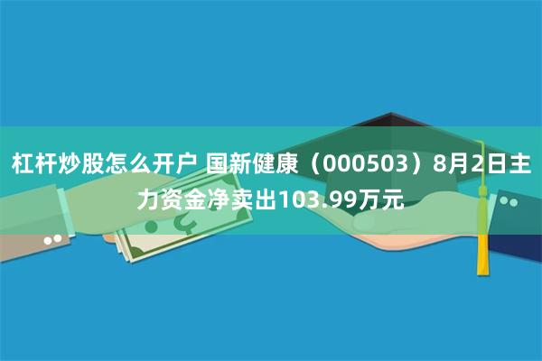 杠杆炒股怎么开户 国新健康（000503）8月2日主力资金净