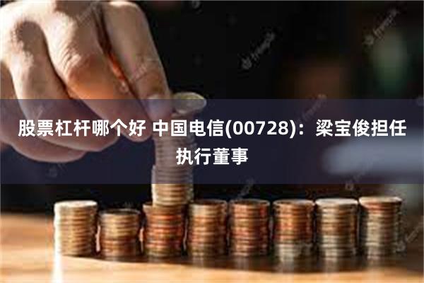 股票杠杆哪个好 中国电信(00728)：梁宝俊担任执行董事