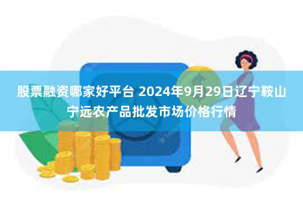 股票融资哪家好平台 2024年9月29日辽宁鞍山宁远农产品批