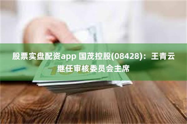 股票实盘配资app 国茂控股(08428)：王青云继任审核委