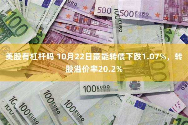 美股有杠杆吗 10月22日豪能转债下跌1.07%，转股溢价率