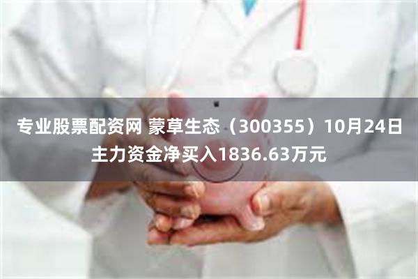 专业股票配资网 蒙草生态（300355）10月24日主力资金