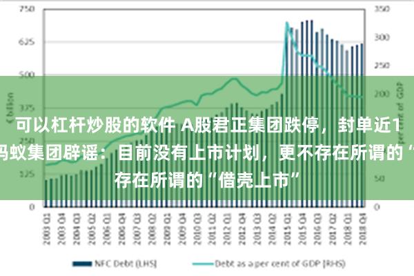 可以杠杆炒股的软件 A股君正集团跌停，封单近140万手！蚂蚁