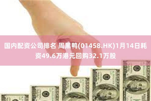 国内配资公司排名 周黑鸭(01458.HK)1月14日耗资4