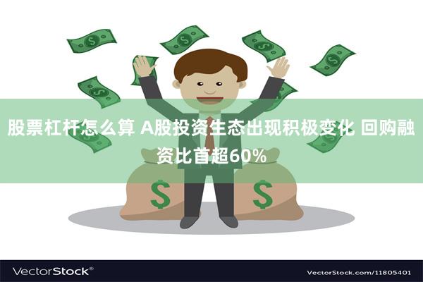 股票杠杆怎么算 A股投资生态出现积极变化 回购融资比首超60