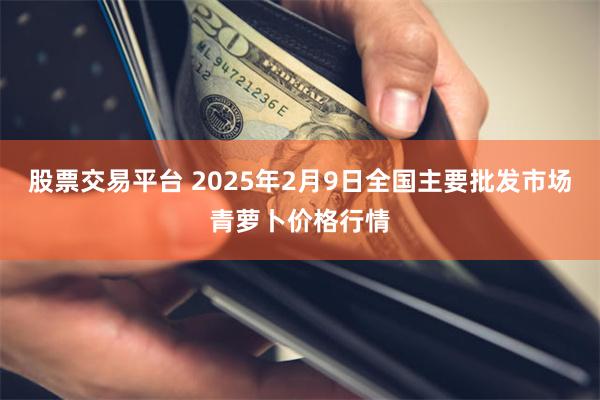 股票交易平台 2025年2月9日全国主要批发市场青萝卜价格行