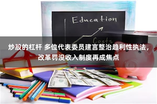 炒股的杠杆 多位代表委员建言整治趋利性执法，改革罚没收入制度