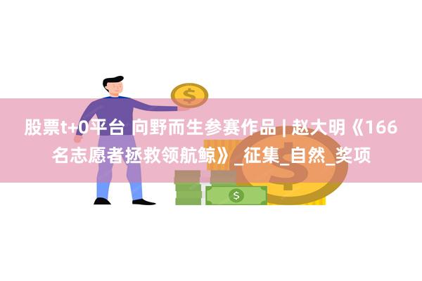 股票t+0平台 向野而生参赛作品 | 赵大明《166名志愿者