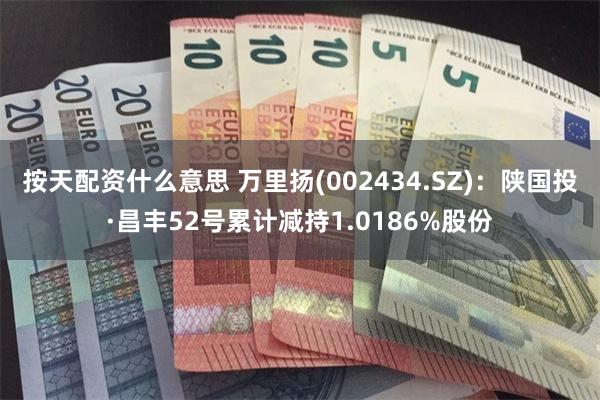 按天配资什么意思 万里扬(002434.SZ)：陕国投·昌丰