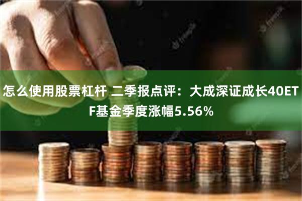 怎么使用股票杠杆 二季报点评：大成深证成长40ETF基金季度