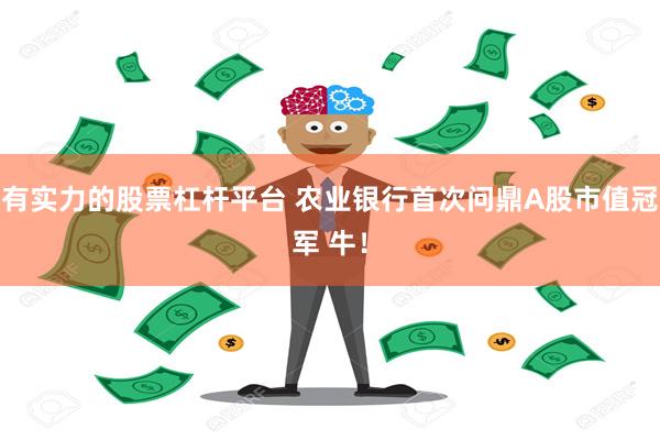 有实力的股票杠杆平台 农业银行首次问鼎A股市值冠军 牛！